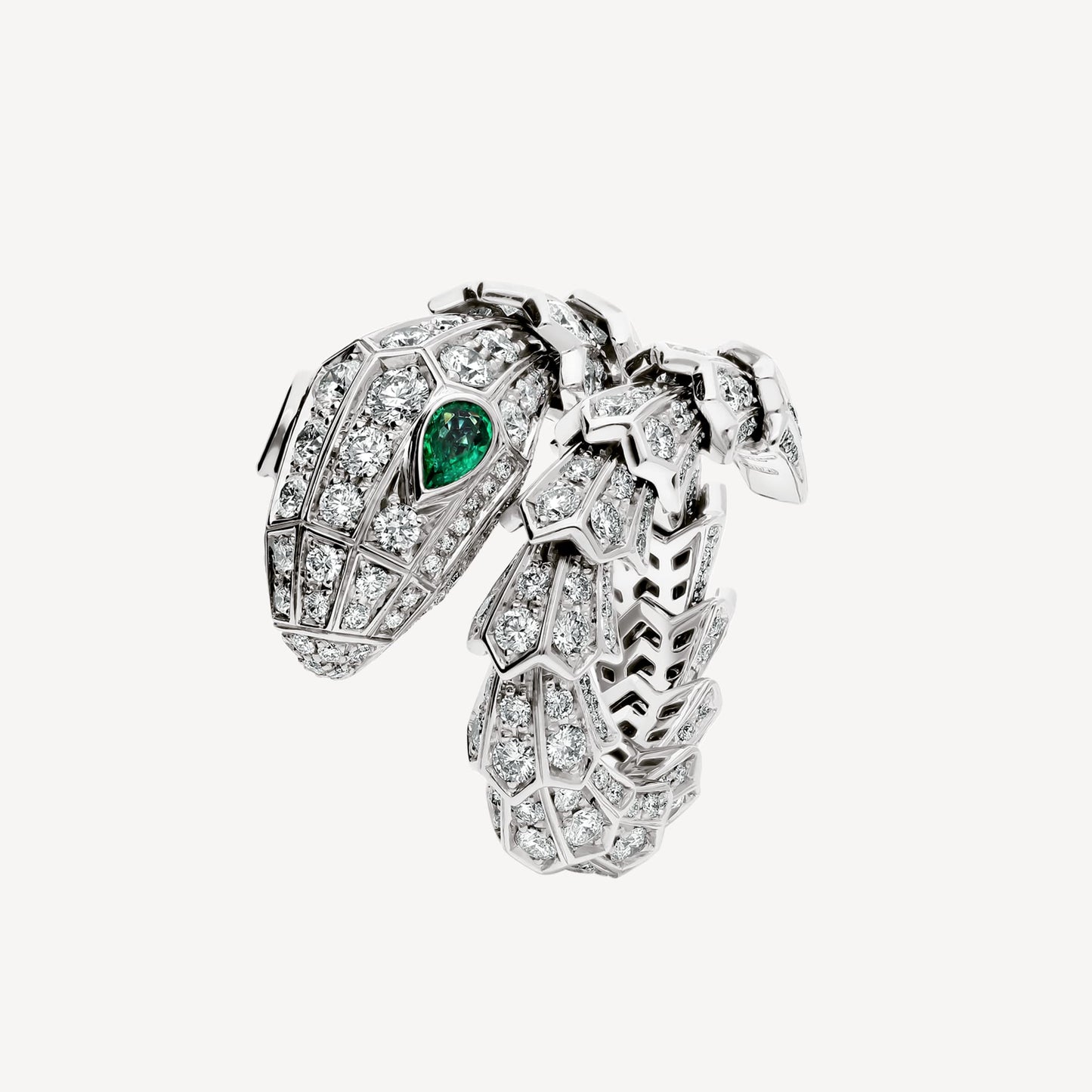 Ring snake