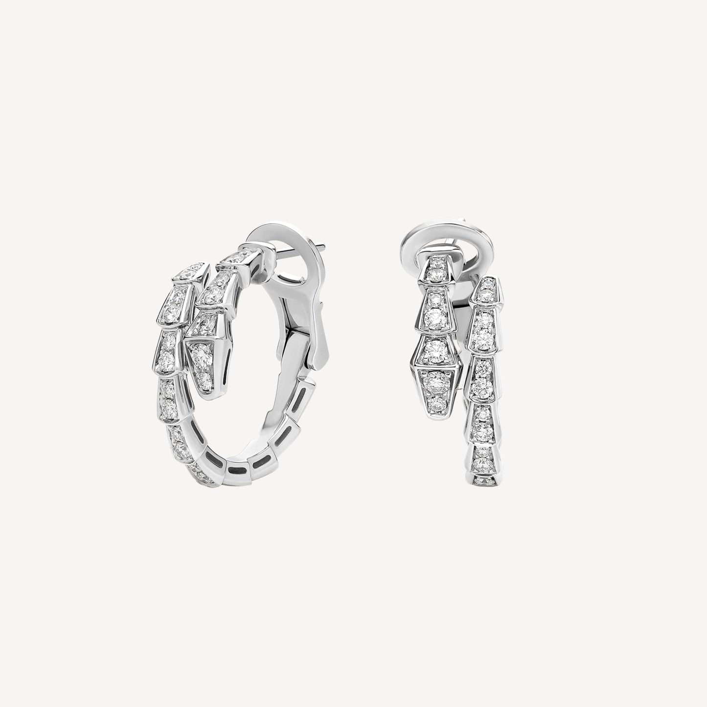 Earrings snake