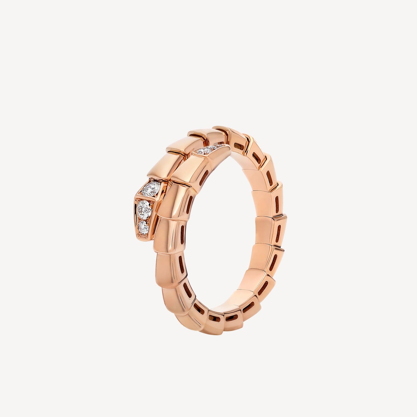 Ring snake