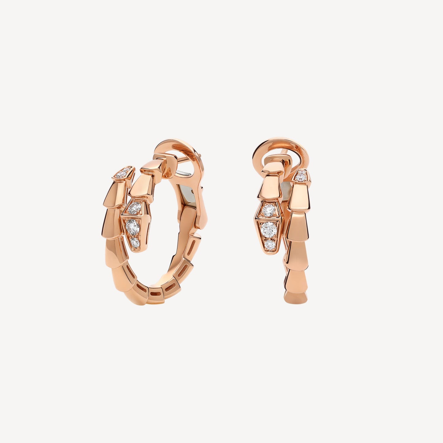 Earrings snake