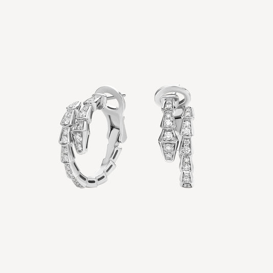 Earrings snake